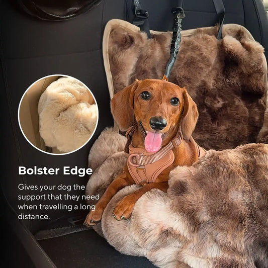 Luxurious Cozy Car Bed