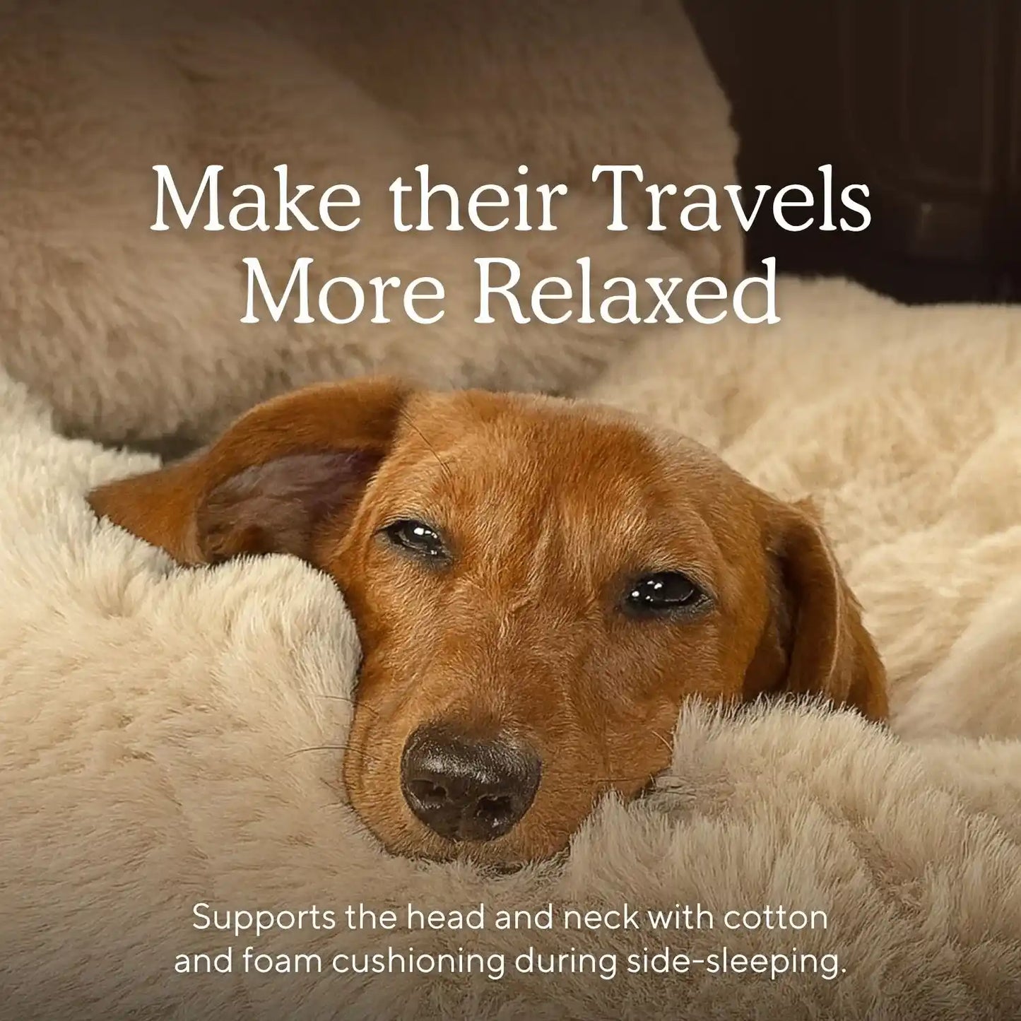 Luxurious Cozy Car Bed