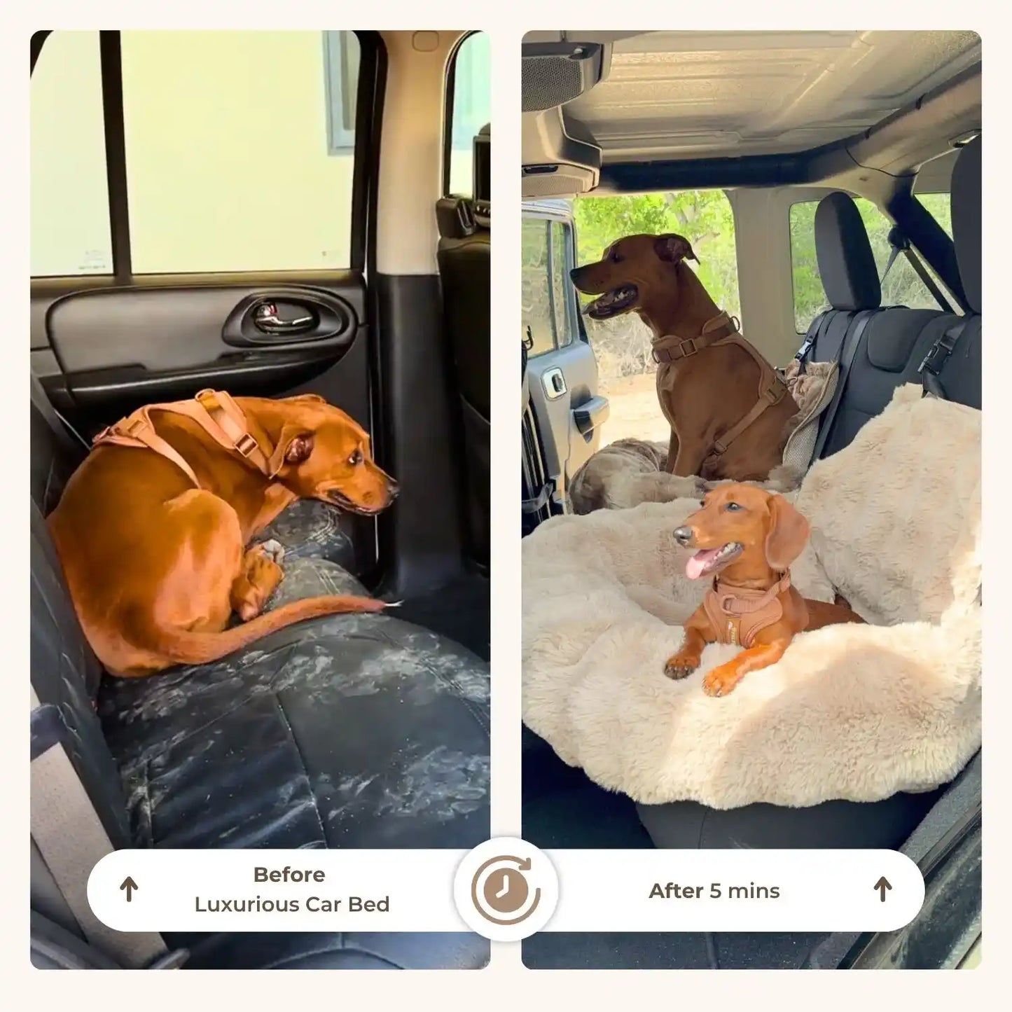 Luxurious Cozy Car Bed