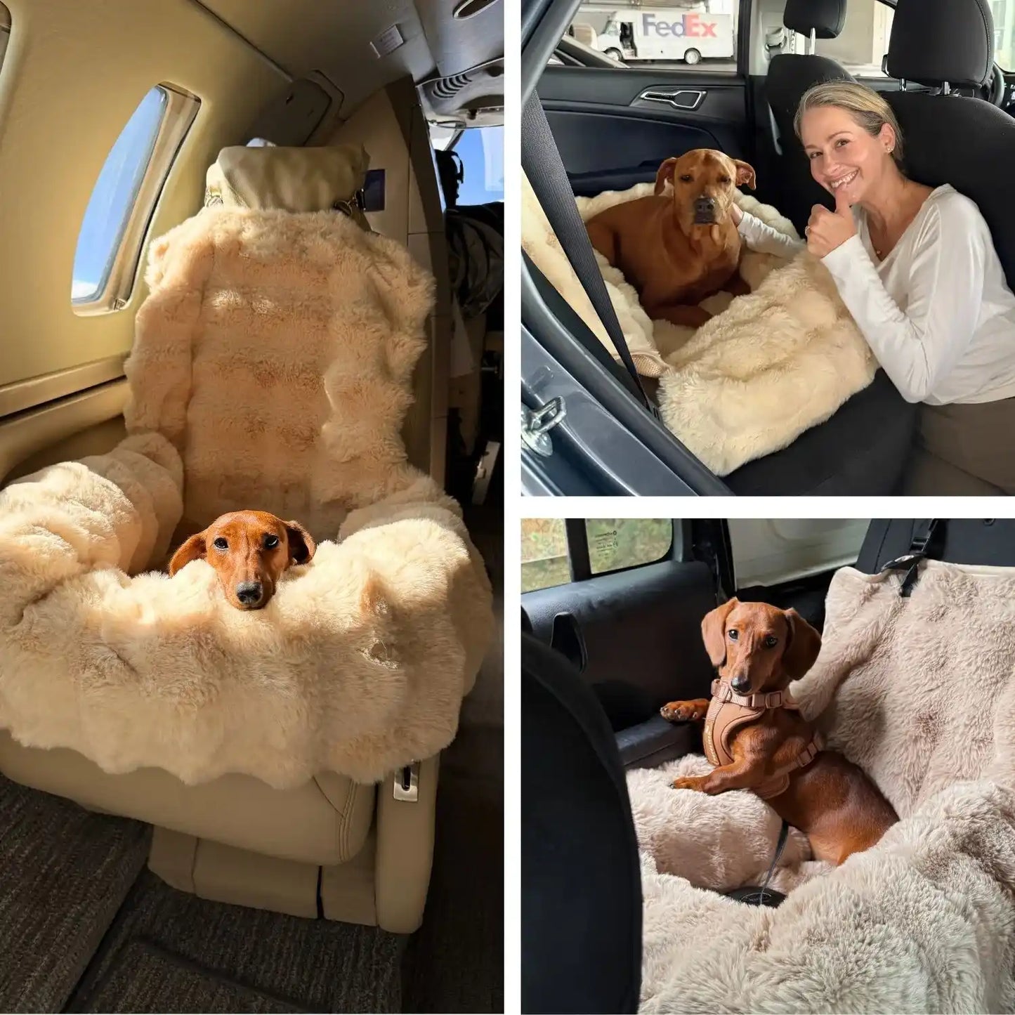 Luxurious Cozy Car Bed