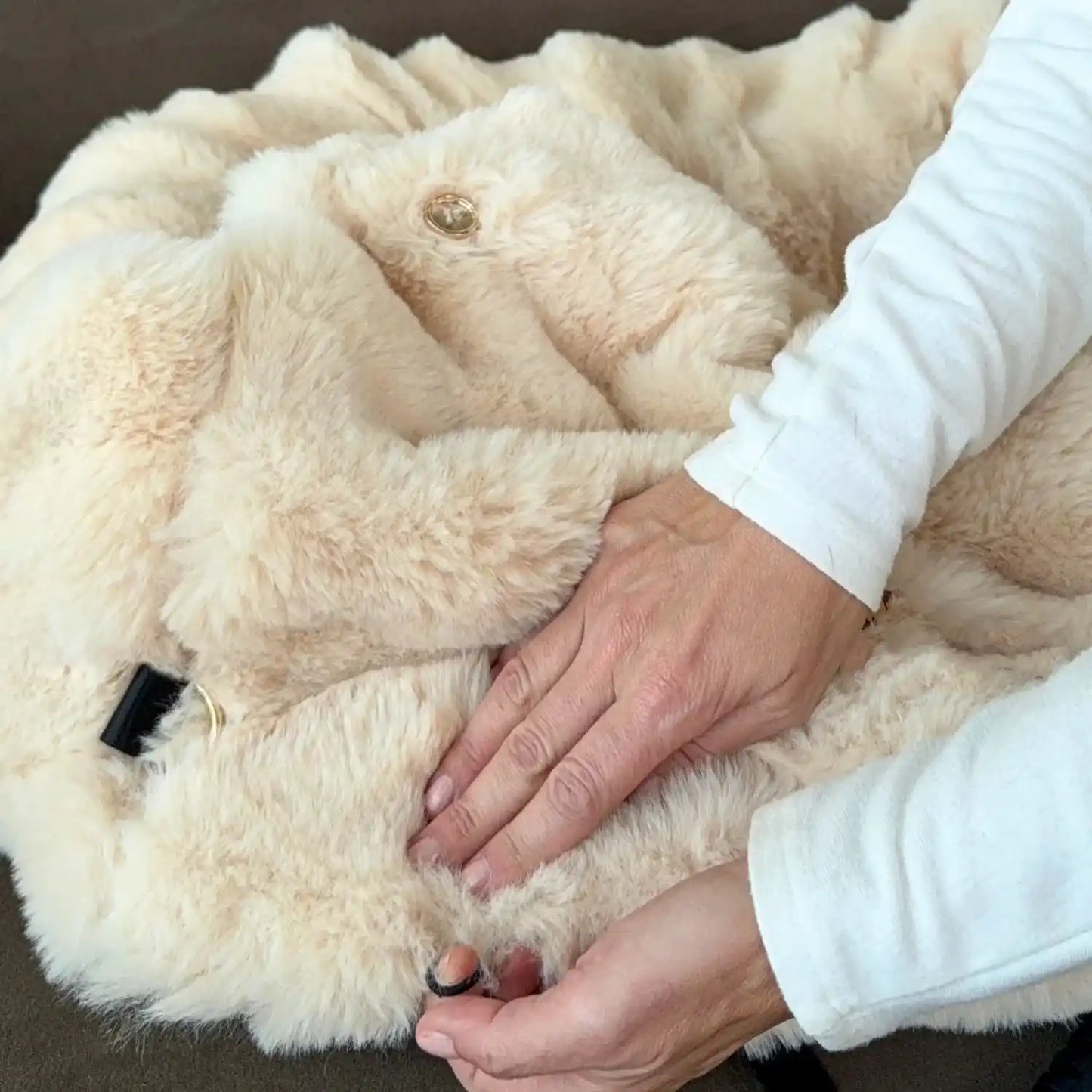 Luxurious Cozy Car Bed