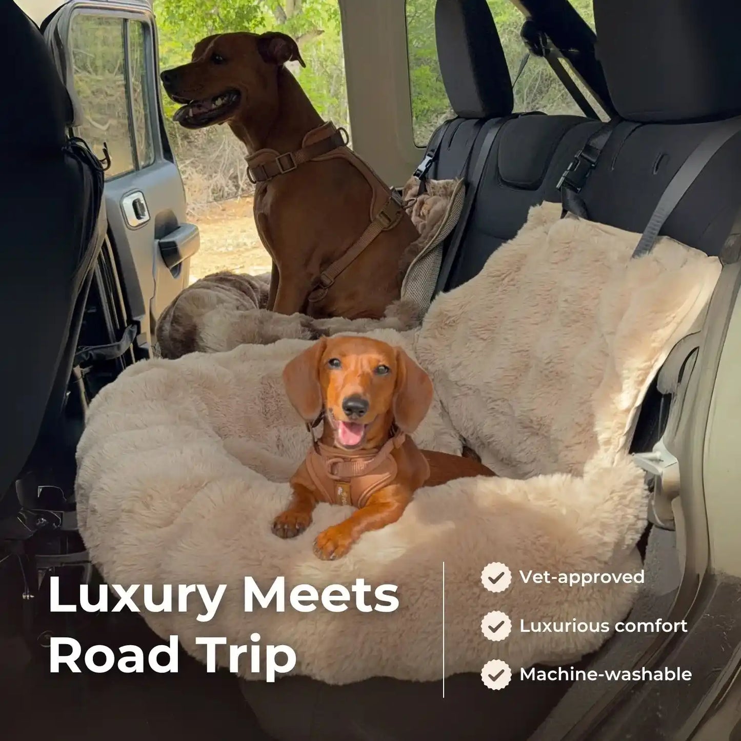 Luxurious Cozy Car Bed