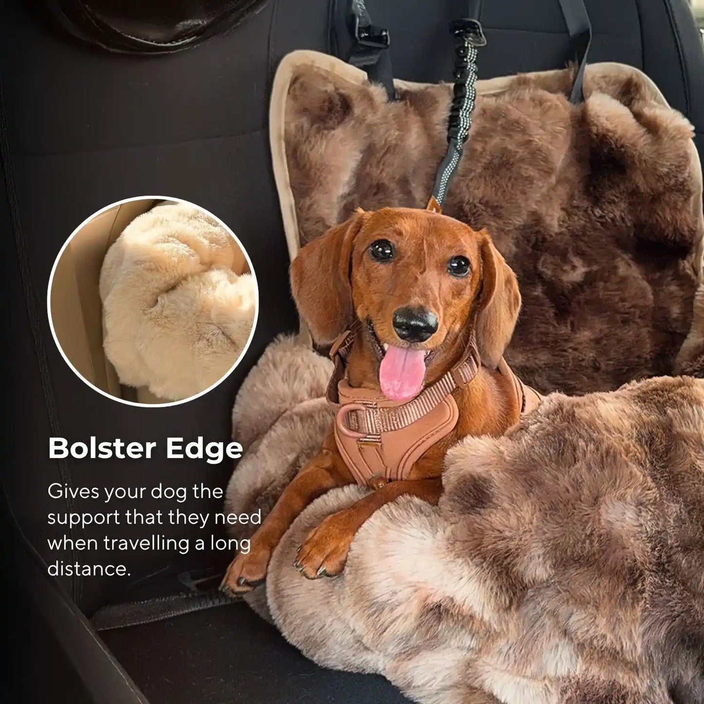 Luxurious Cozy Car Bed
