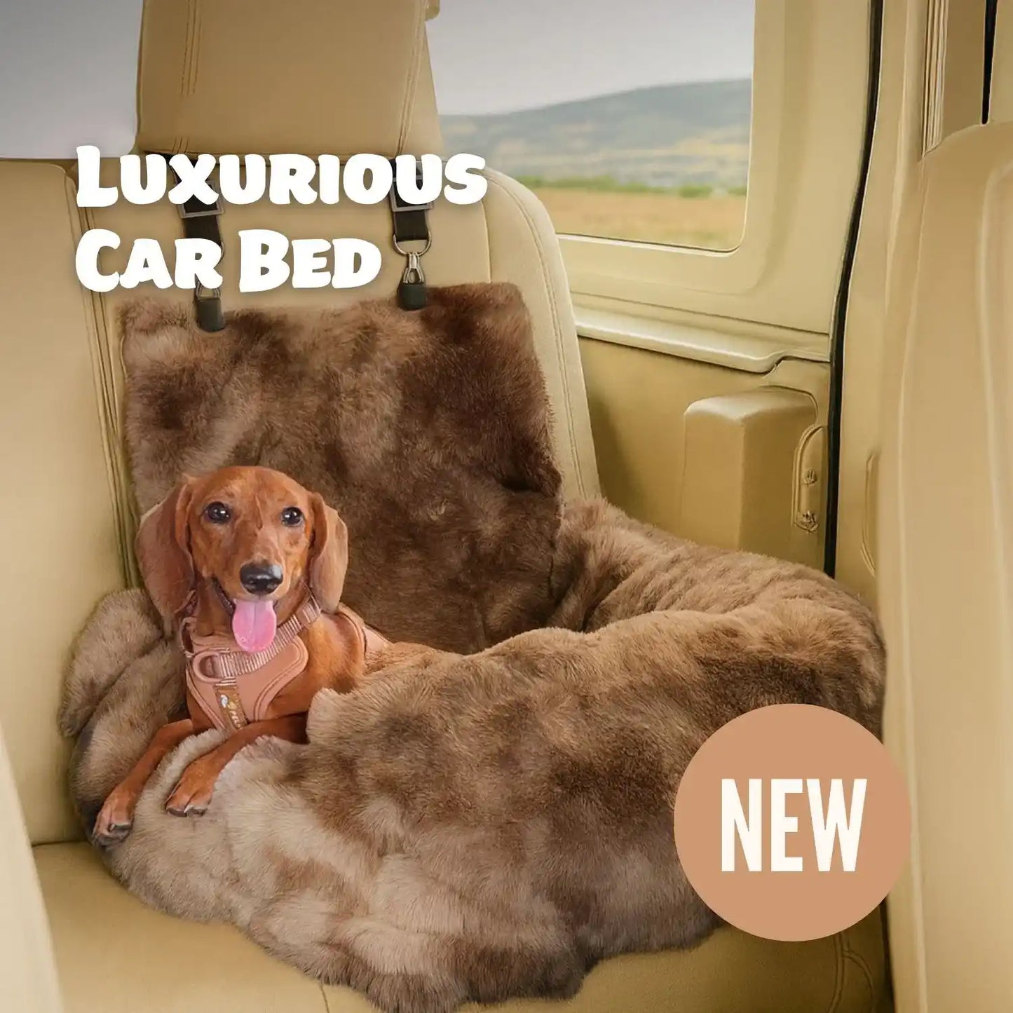 Luxurious Cozy Car Bed